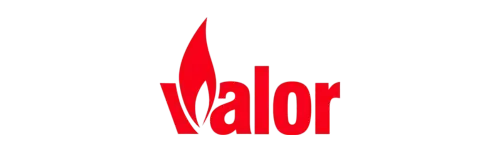 Valor logo